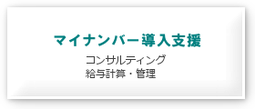 マイナンバー導入支援